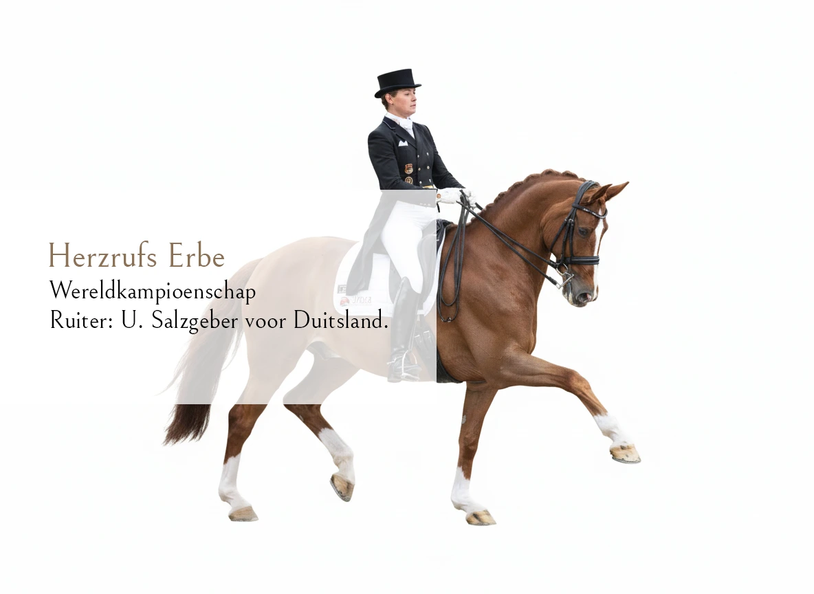 Firefly_Gemini Flash_Convert it to just the photo of the horse only witouth the background 607784 (3)2