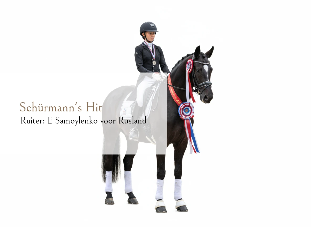 Firefly_Gemini Flash_Convert it to just the photo of the horse only witouth the background 607784 (3)3