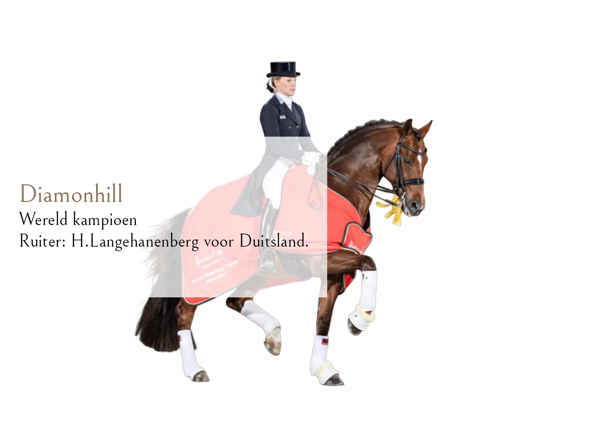 Firefly_Gemini Flash_Convert it to just the photo of the horse only witouth the background 607784 (3)4